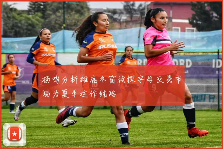 杨鸣分析雄鹿冬窗试探字母交易市场为夏季运作铺路