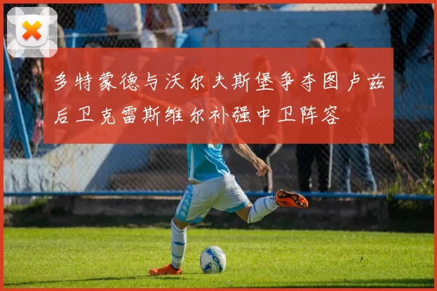 多特蒙德与沃尔夫斯堡争夺图卢兹后卫克雷斯维尔补强中卫阵容