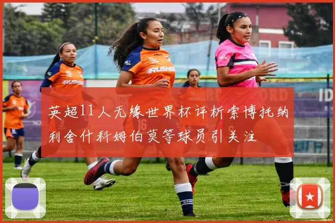 英超11人无缘世界杯评析索博托纳利舍什科姆伯莫等球员引关注